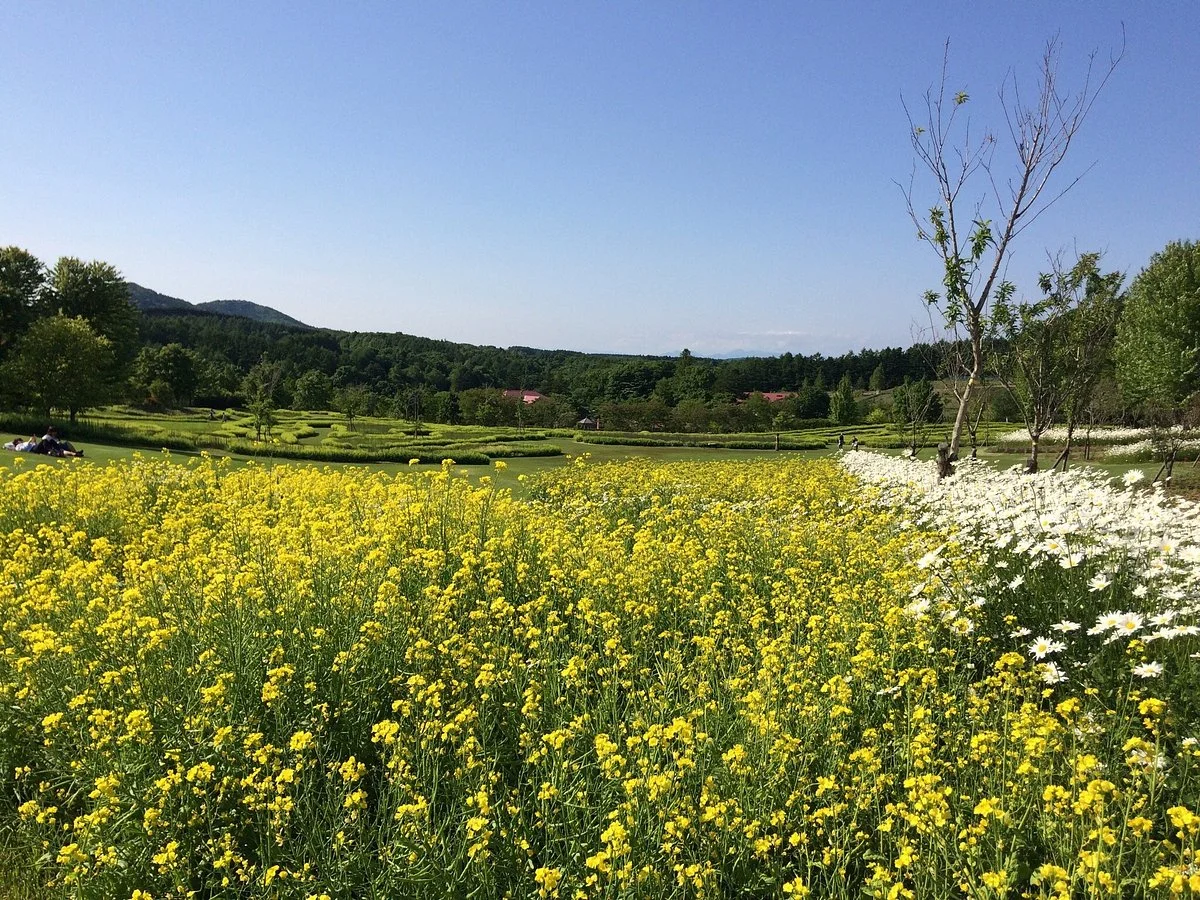 Yuni- Garden