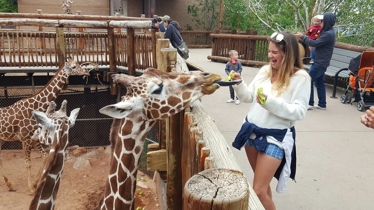 Cheyenne Mountain Zoo