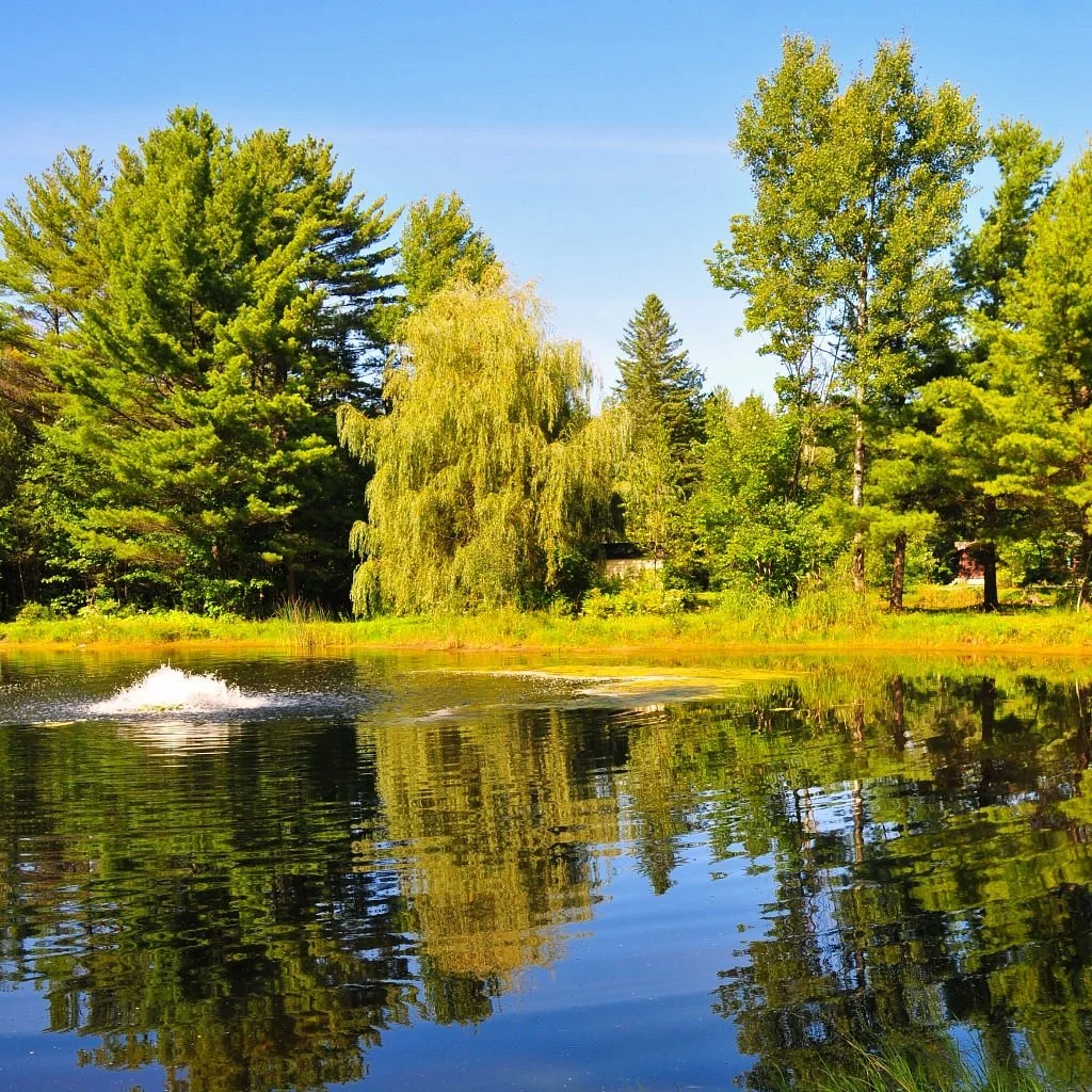 Parc du Domaine Vert