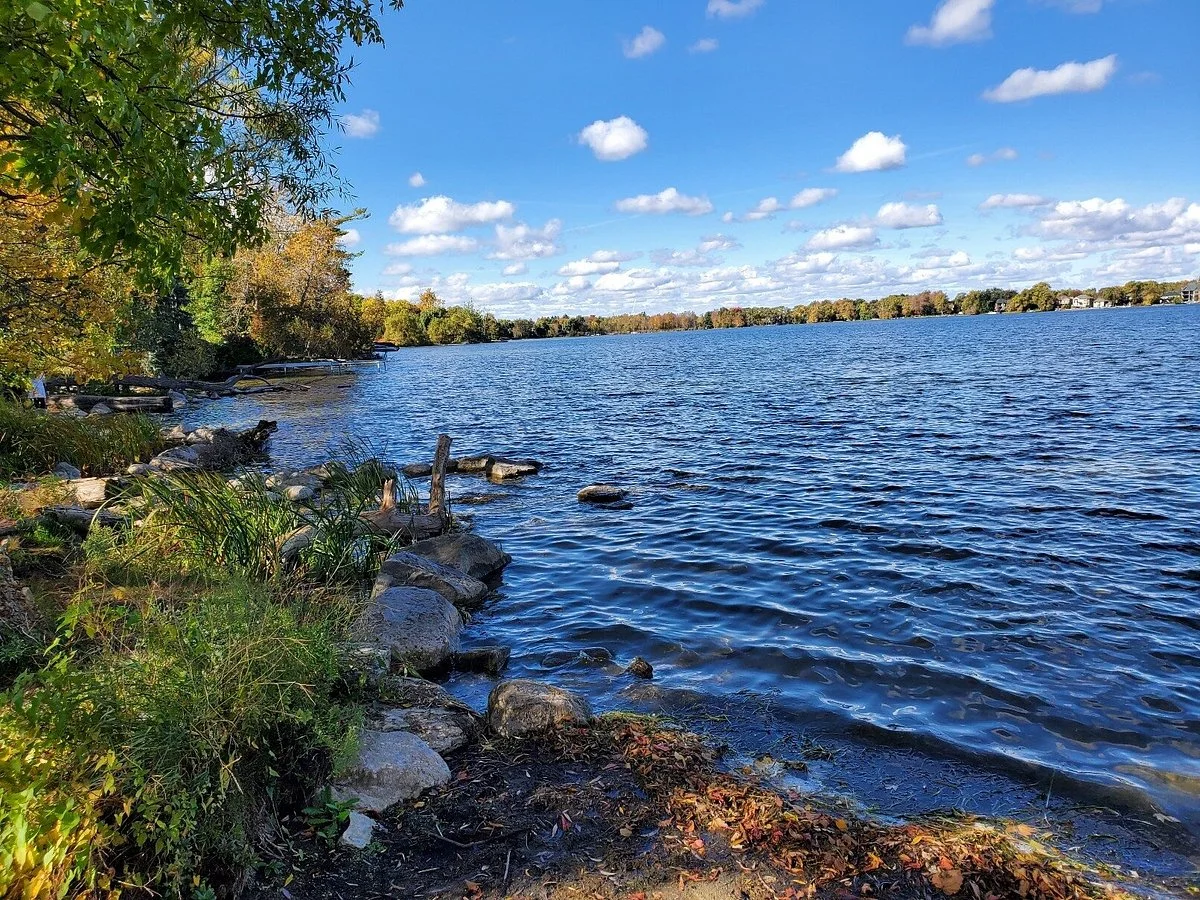 Wilcox Lake