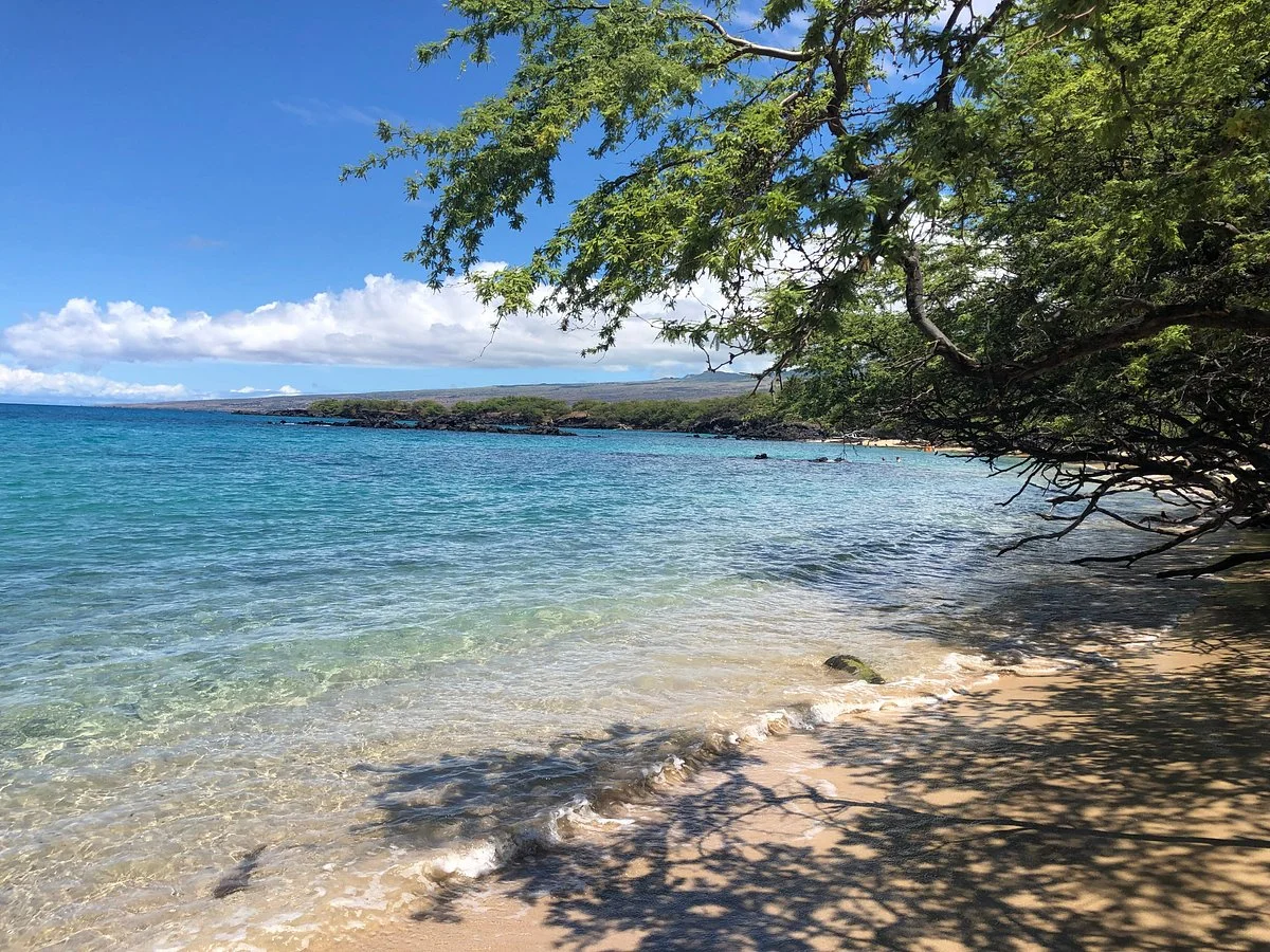 Waialea Beach