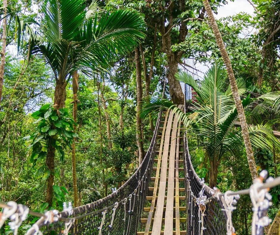Zoo De Guadeloupe Au Parc Des Mamelles