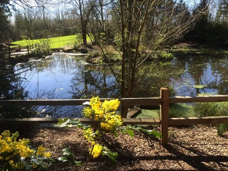 Rood Bridge Park