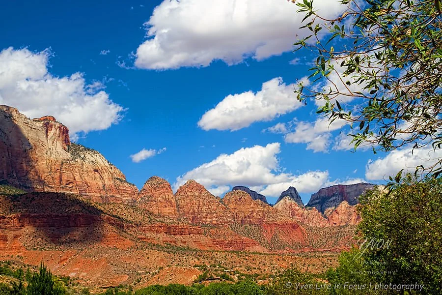 Zion Canyon Scenic Drive