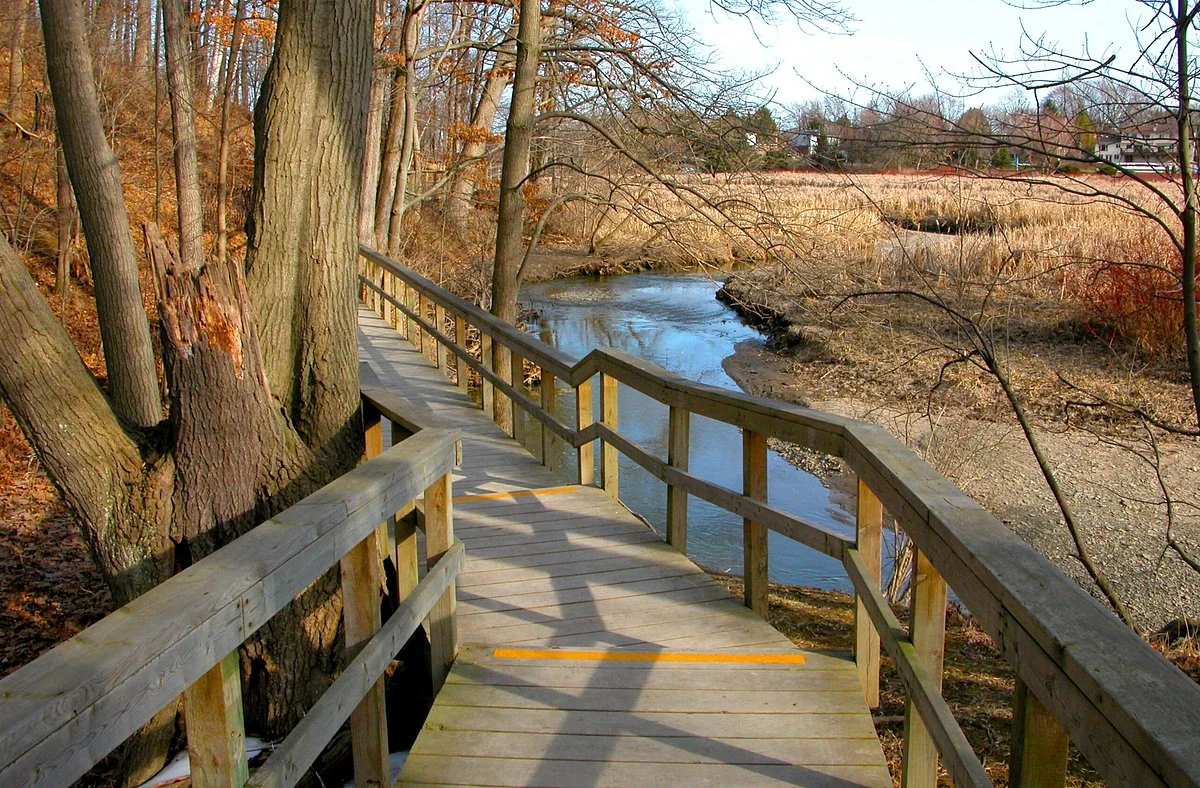 Rattray Marsh Conservation Area