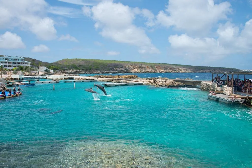 Curacao Sea Aquarium