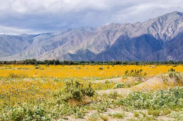 Anza-Borrego Desert State Park