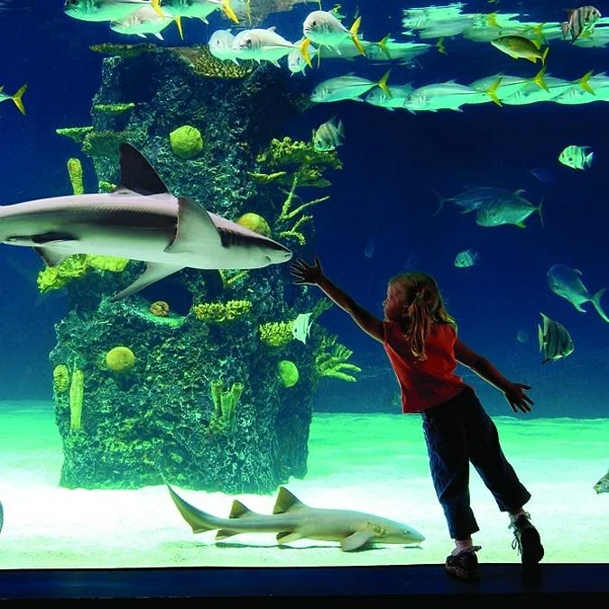 Newport Aquarium