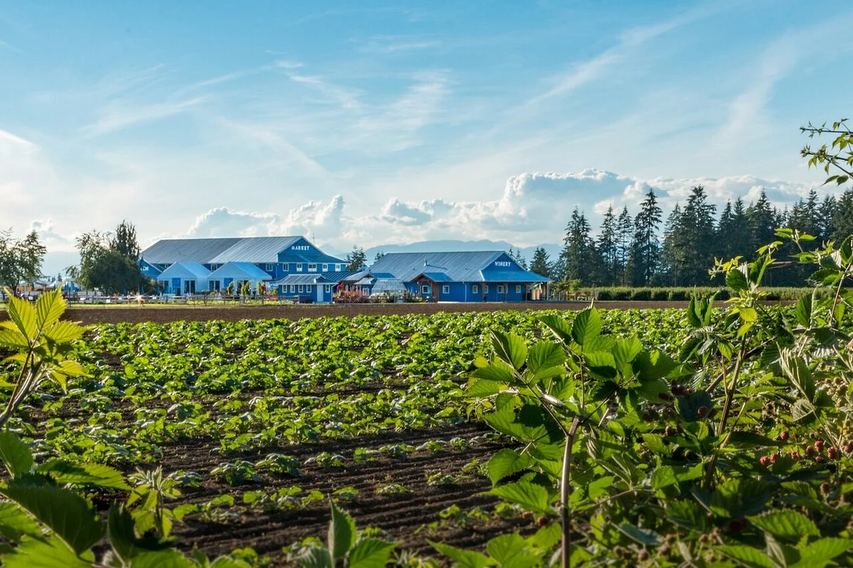 Krause Berry Farms & Estate Winery