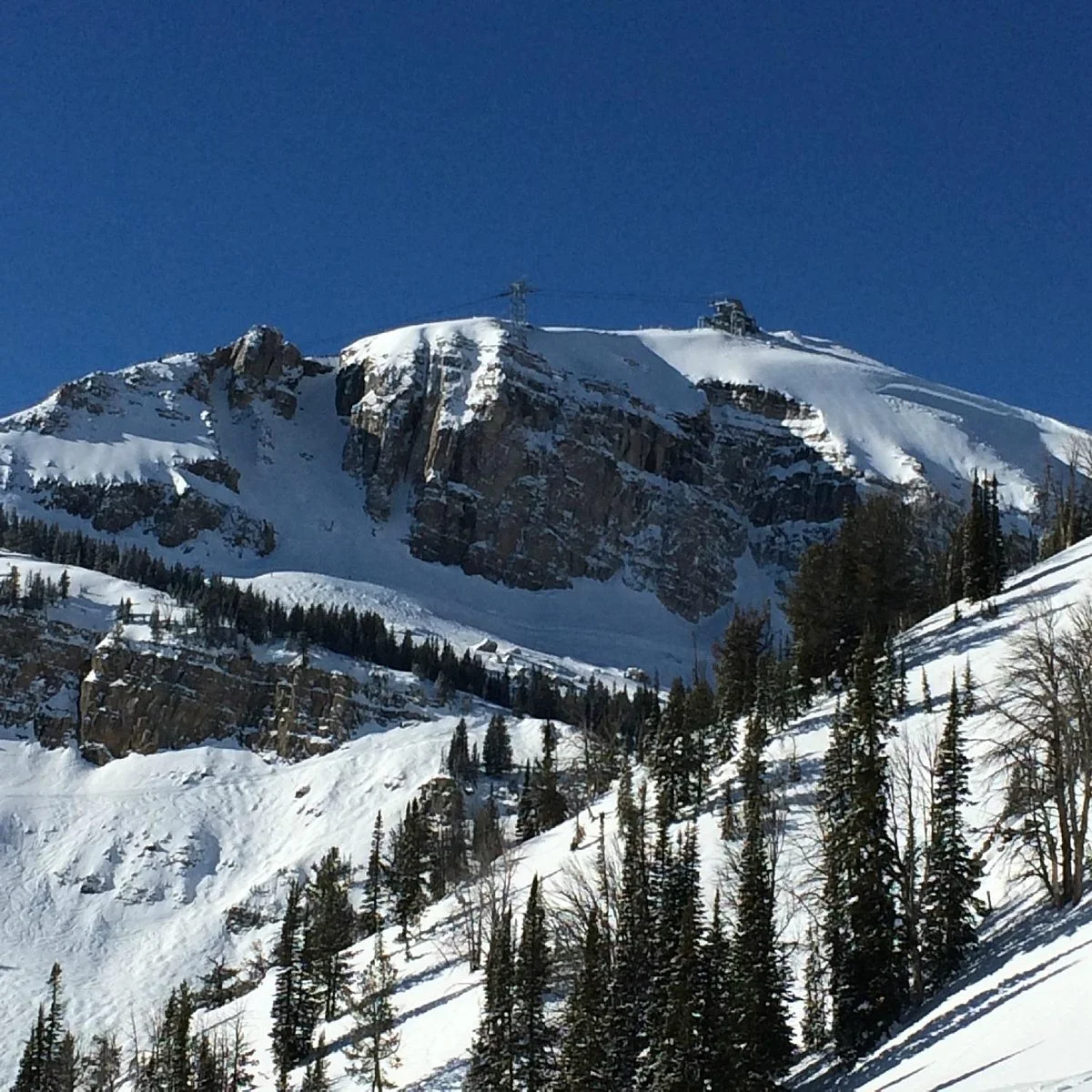 Rendezvous Mountain