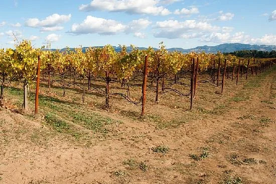 Hendry Ranch Wines