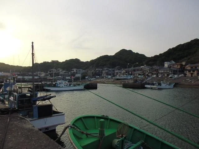 Wadaura