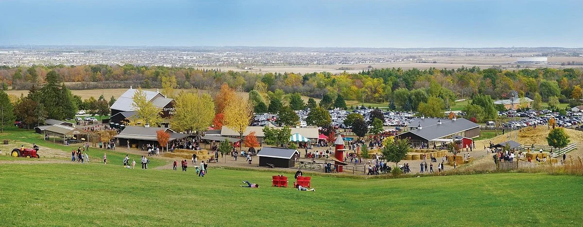 Springridge Farm