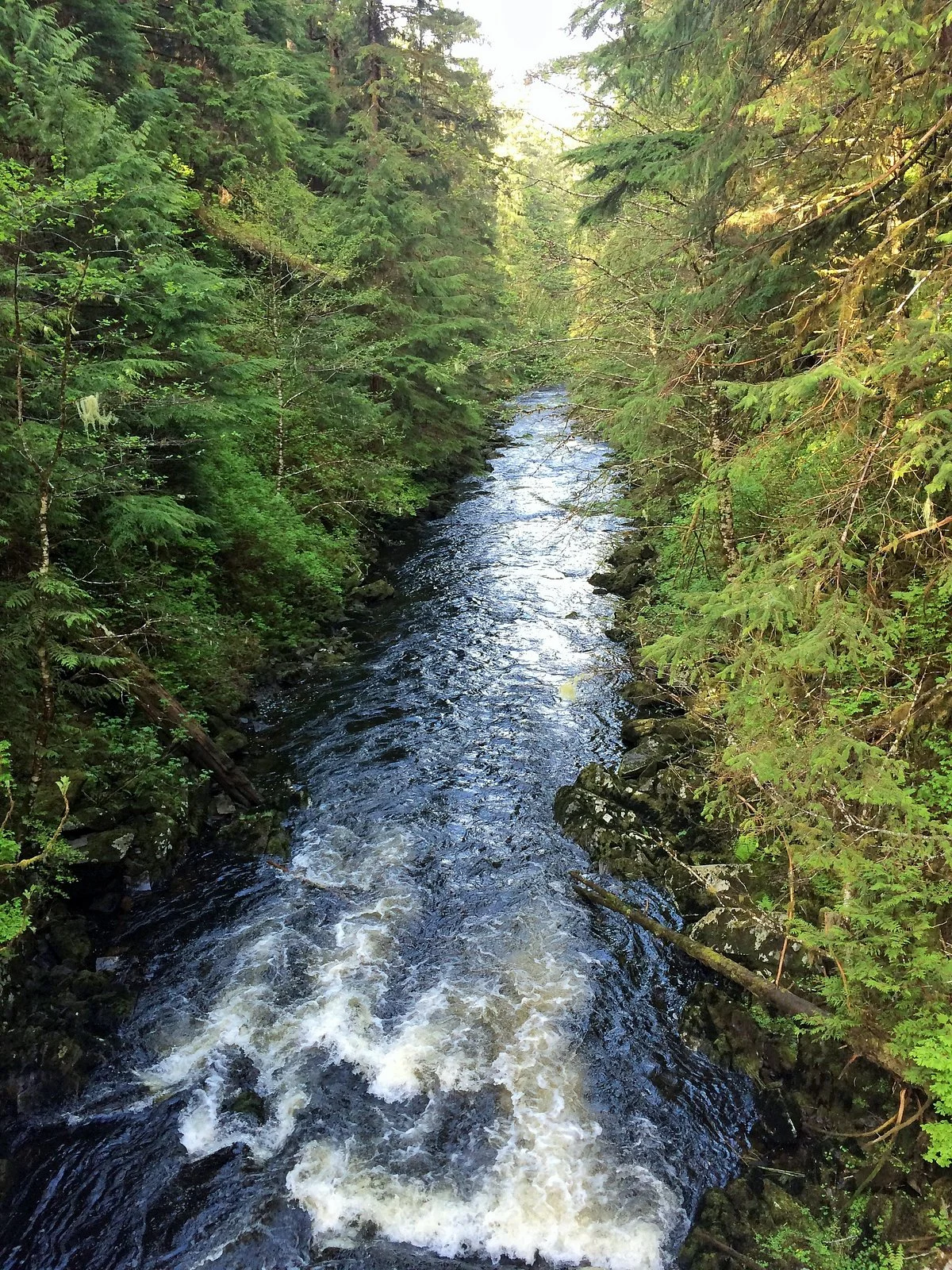 Tongass National Forest