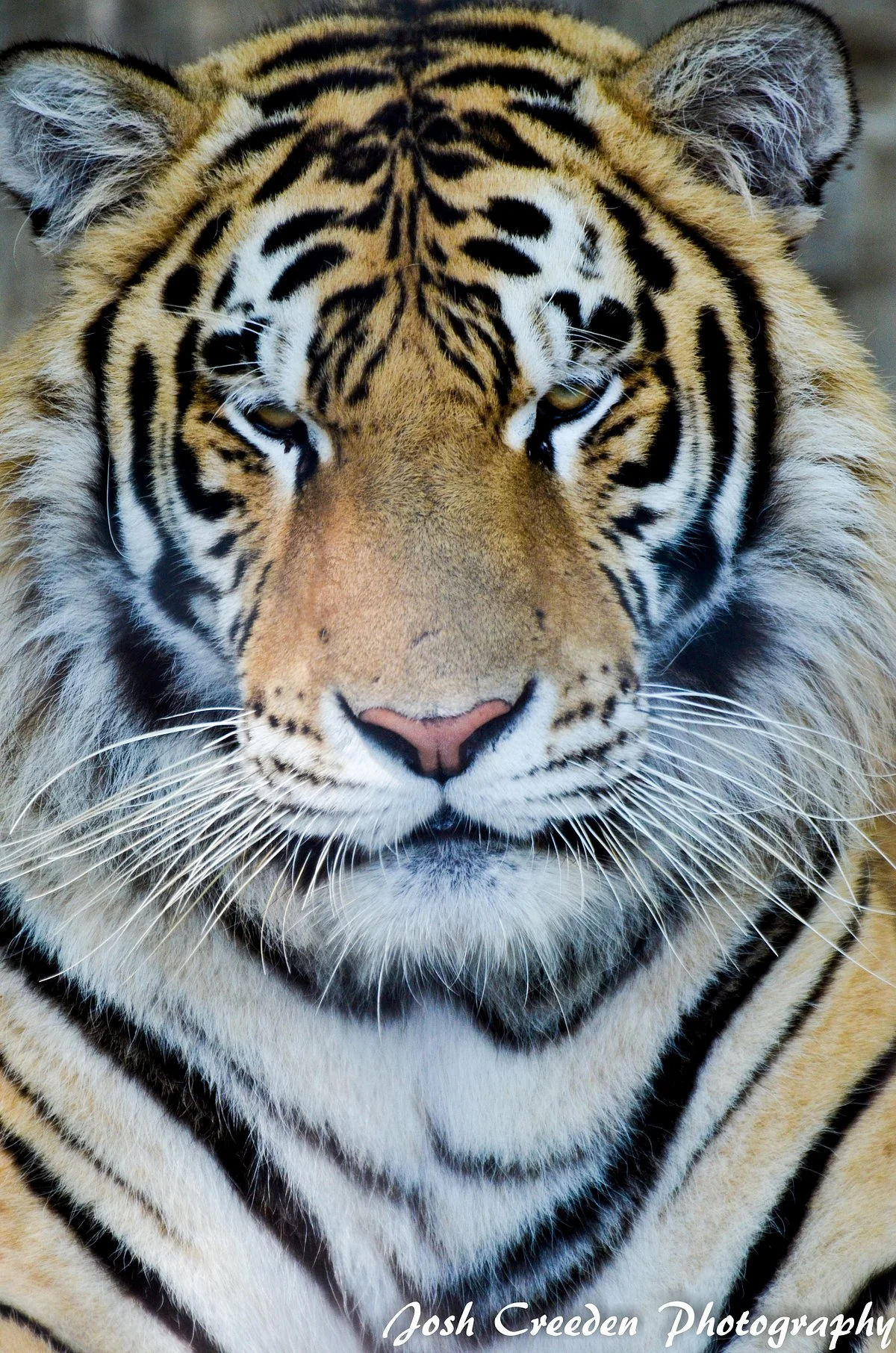 Brantford Twin Valley Zoo
