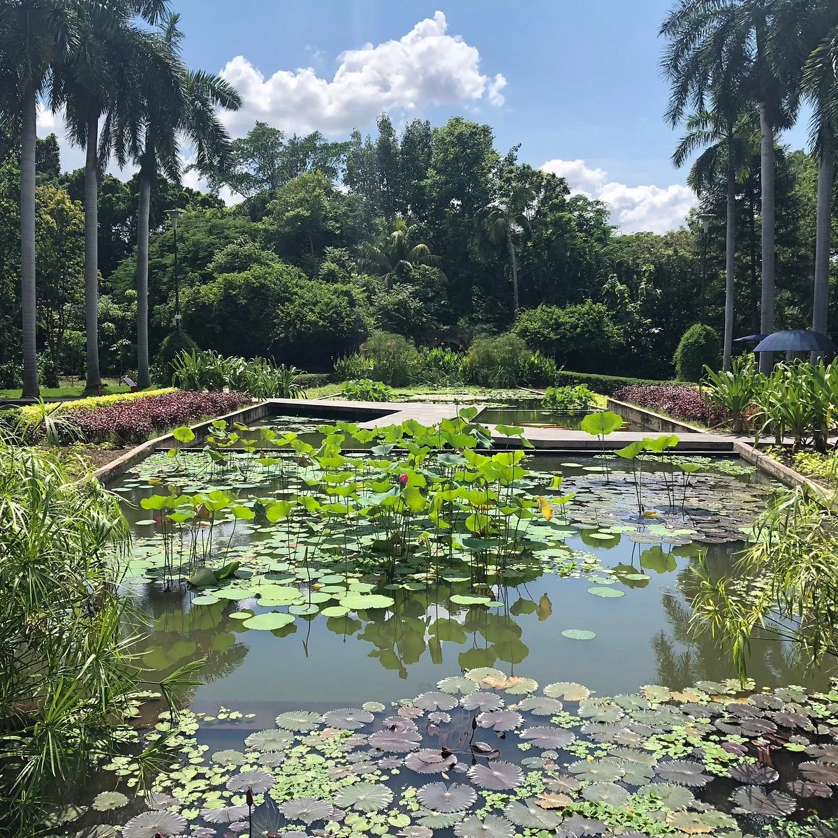Jardin Botanico Culiacan