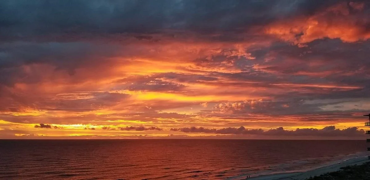 Pinellas Trail
