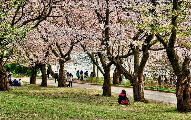 High Park