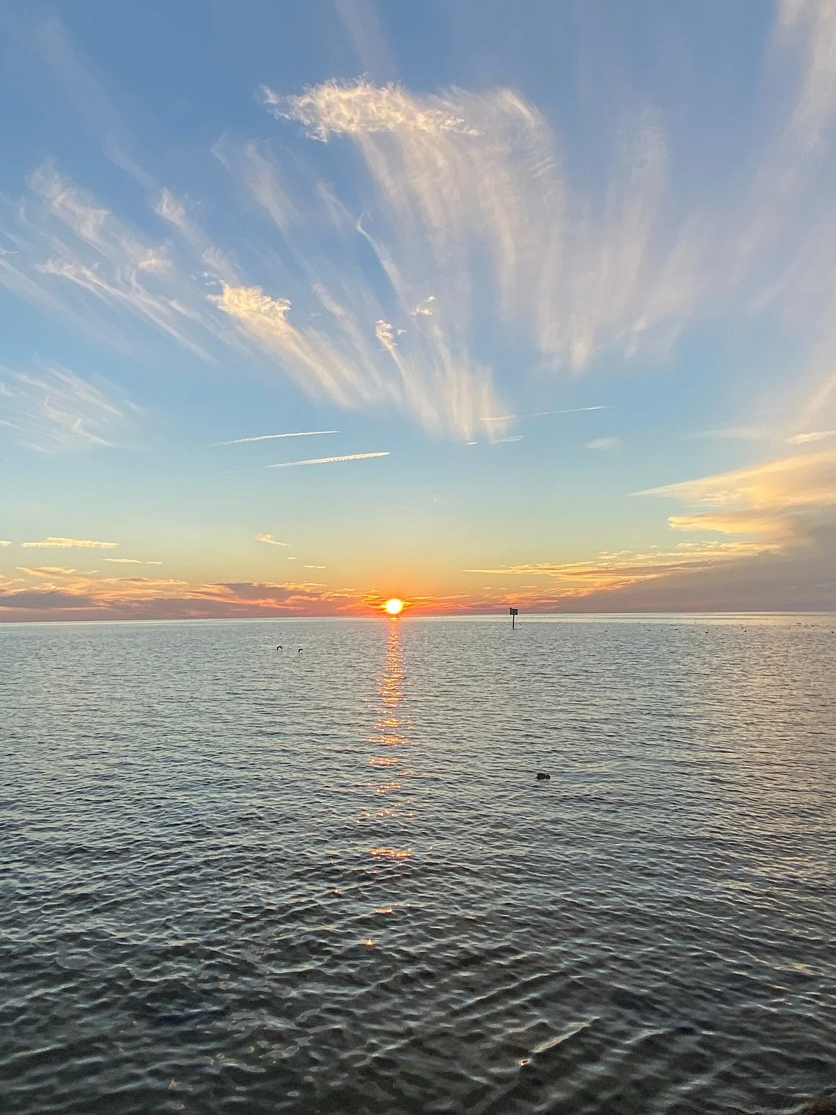 Alfred McKethan Pine Island Park