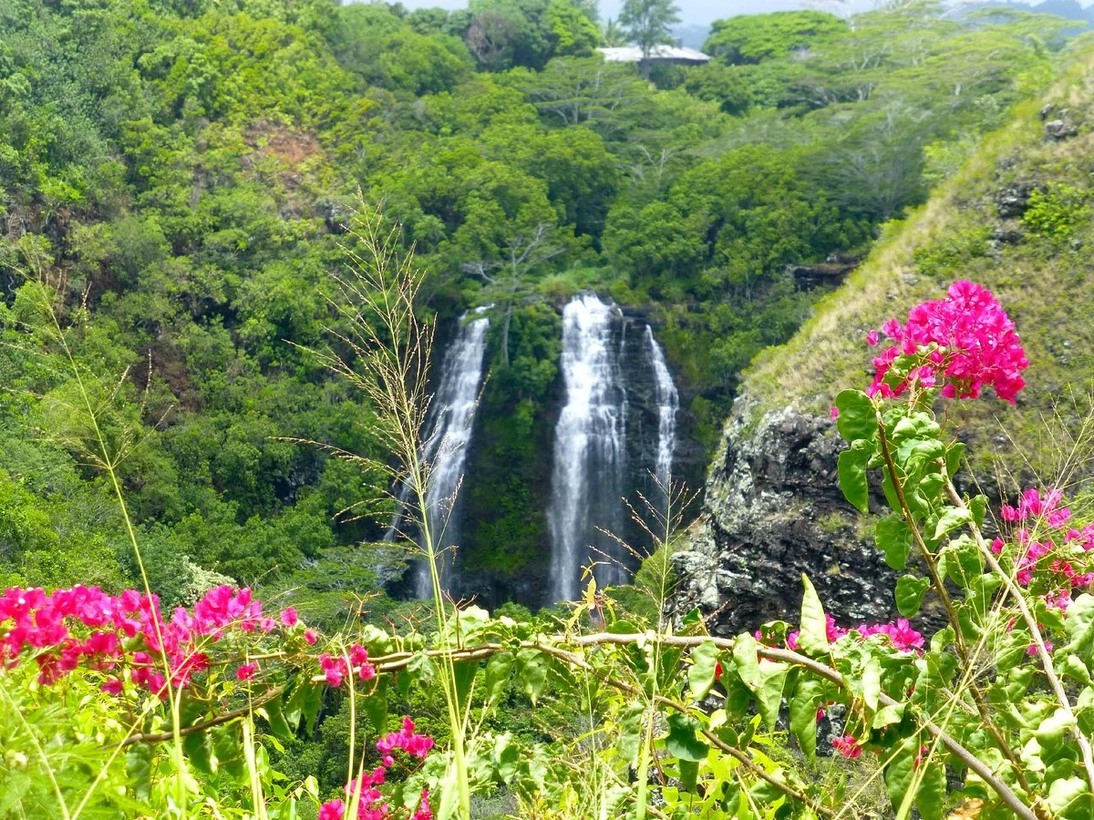 Opaekaa Falls