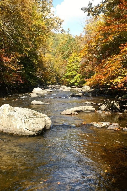 Ken Lockwood Gorge WIldlife Management Area