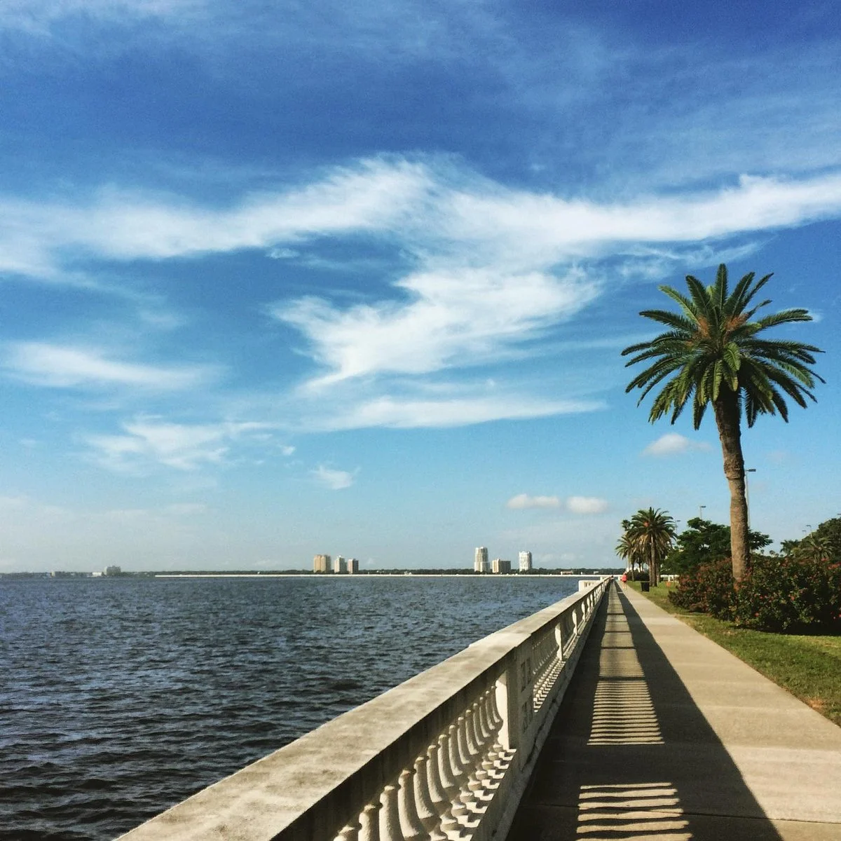 Bayshore Boulevard