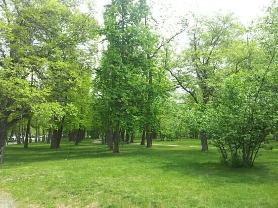 Gellatly Nut Farm