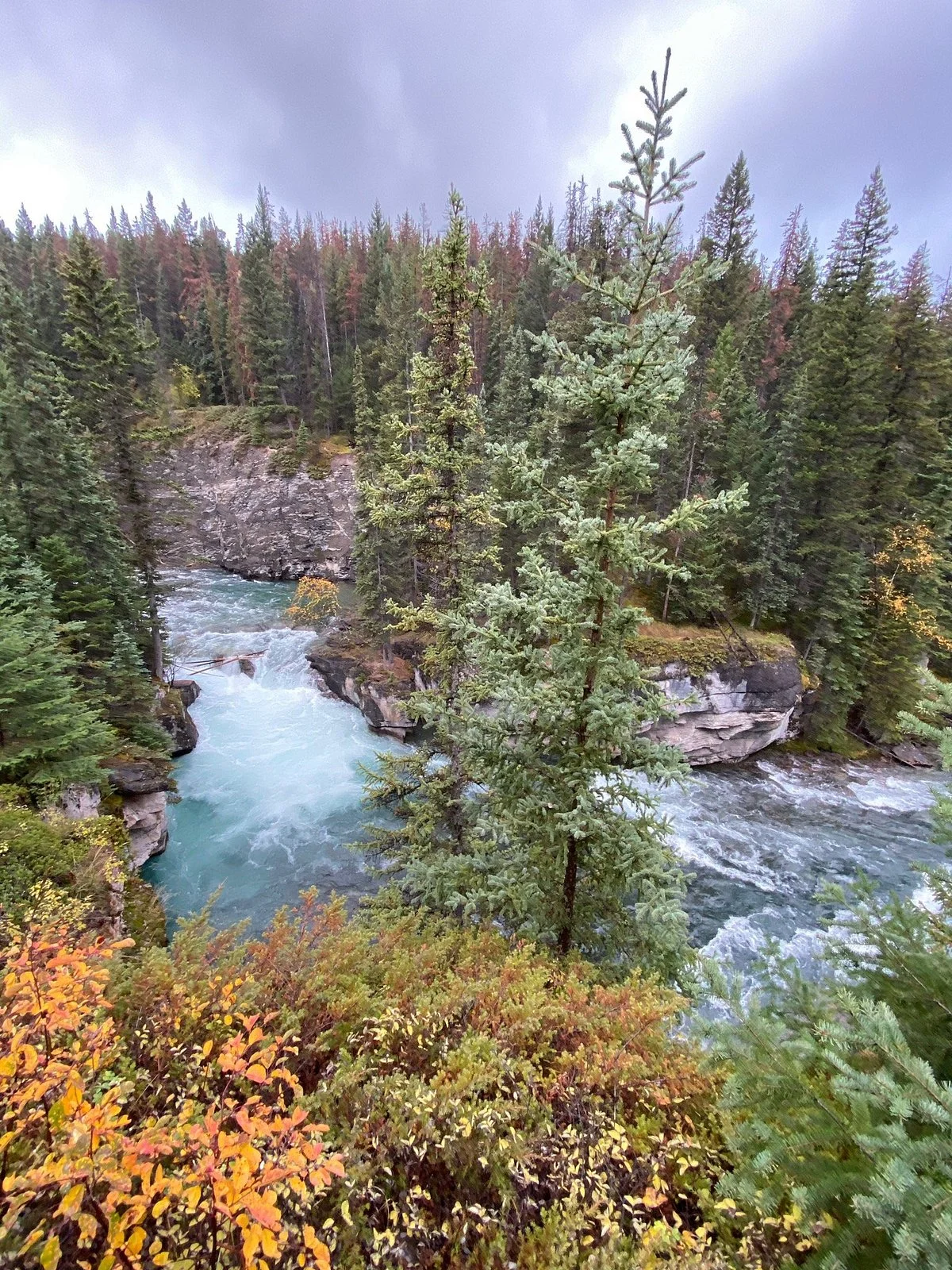 Maligne Canyon