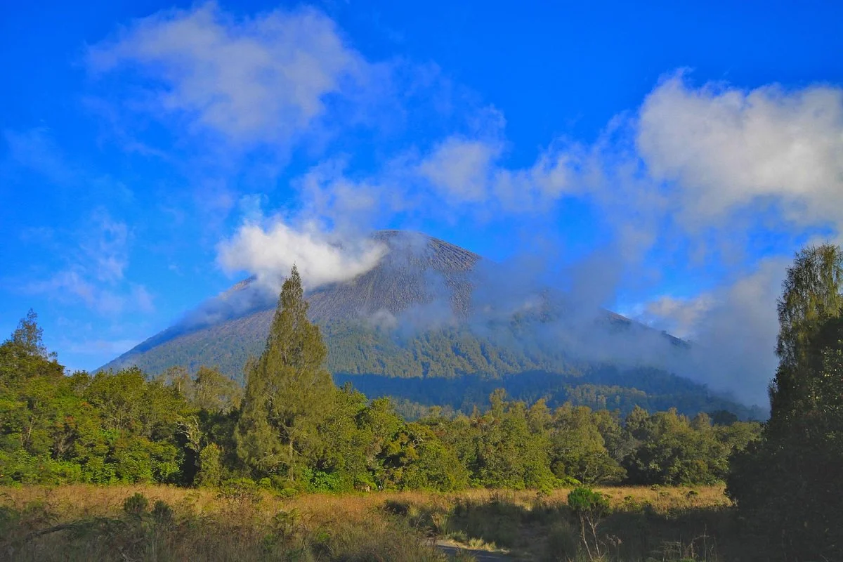 Mount Semeru Volcano