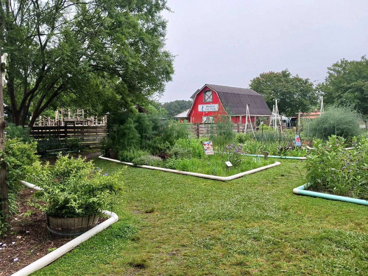 Bluebird Gap Farm