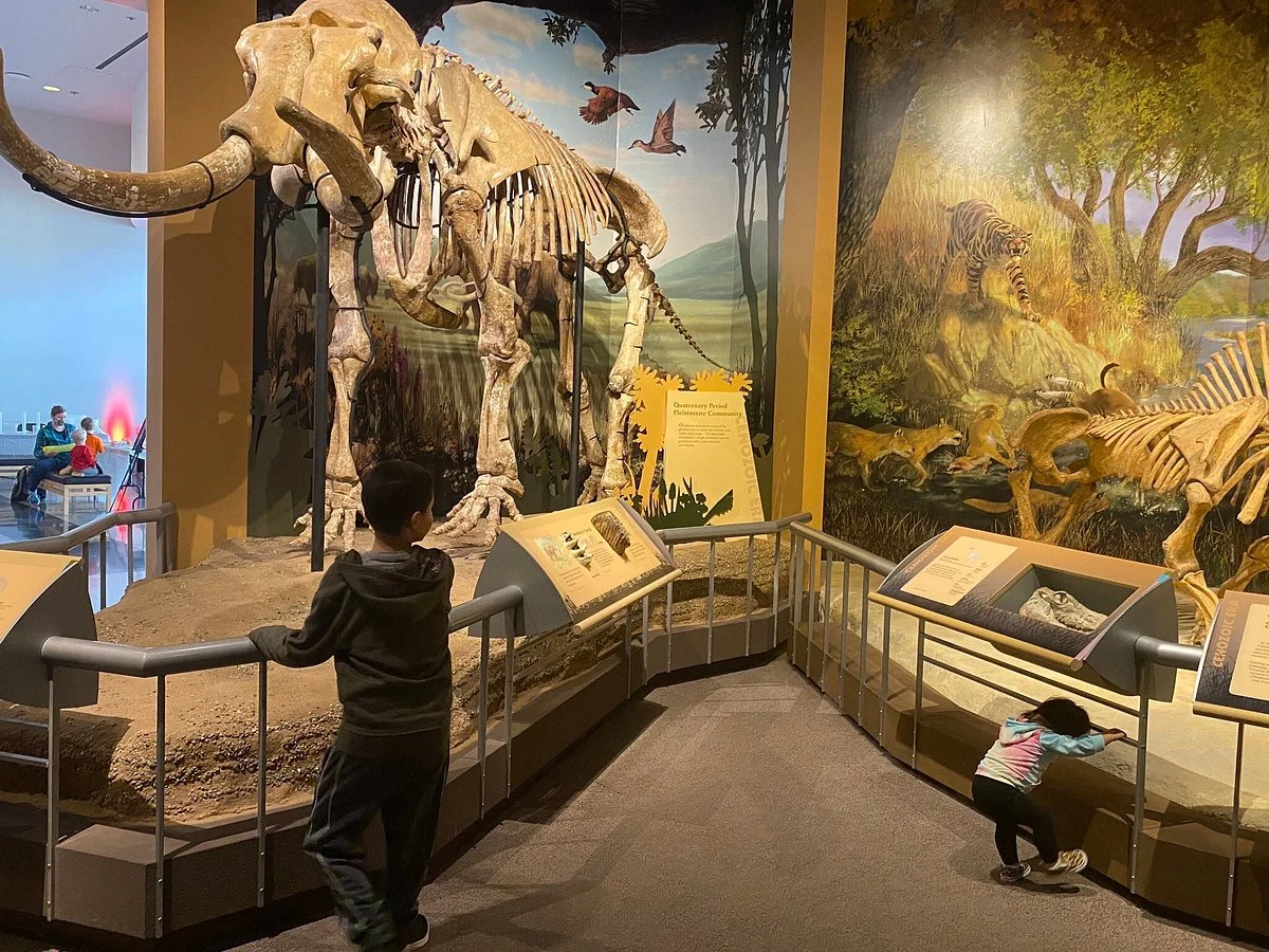 Sam Noble Oklahoma Museum of Natural History