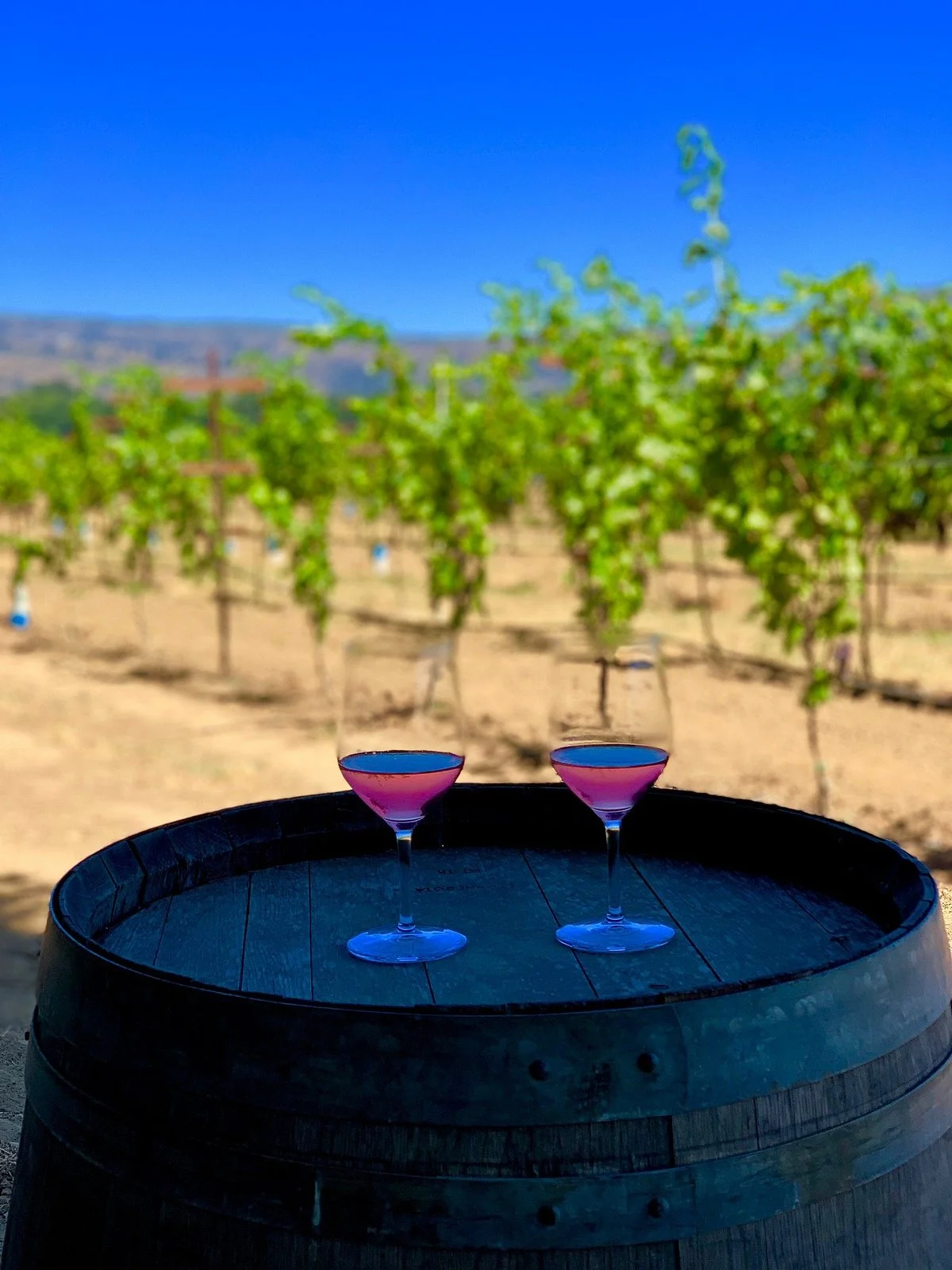 Andretti Winery