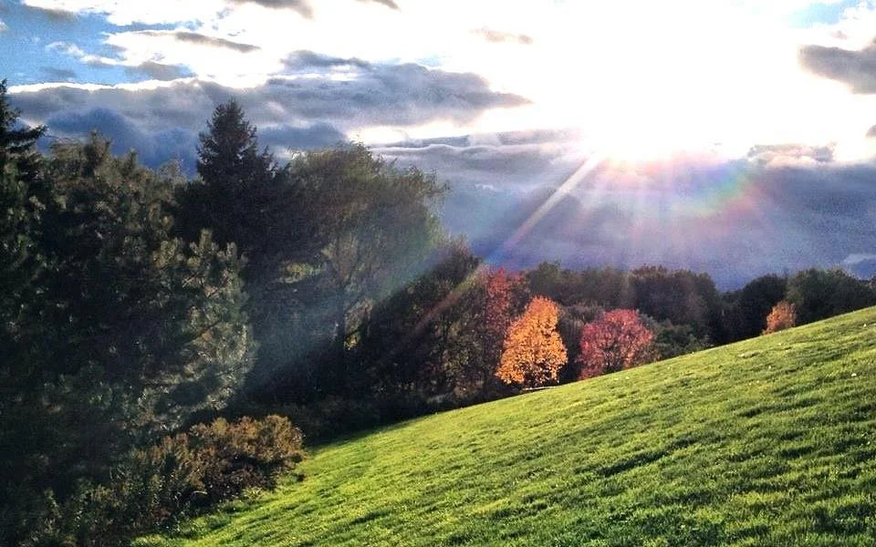 Fairy Lake Park