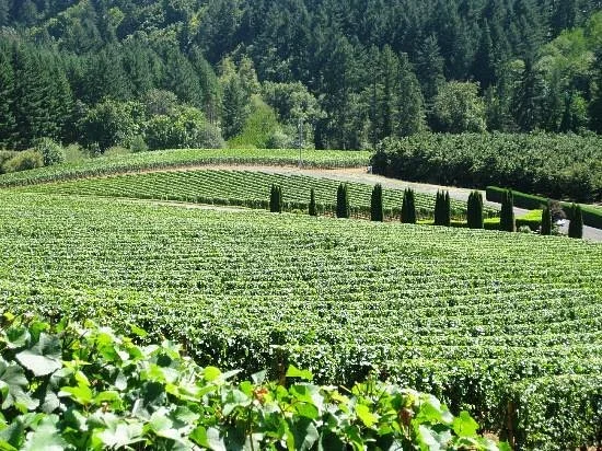 Willamette Valley
