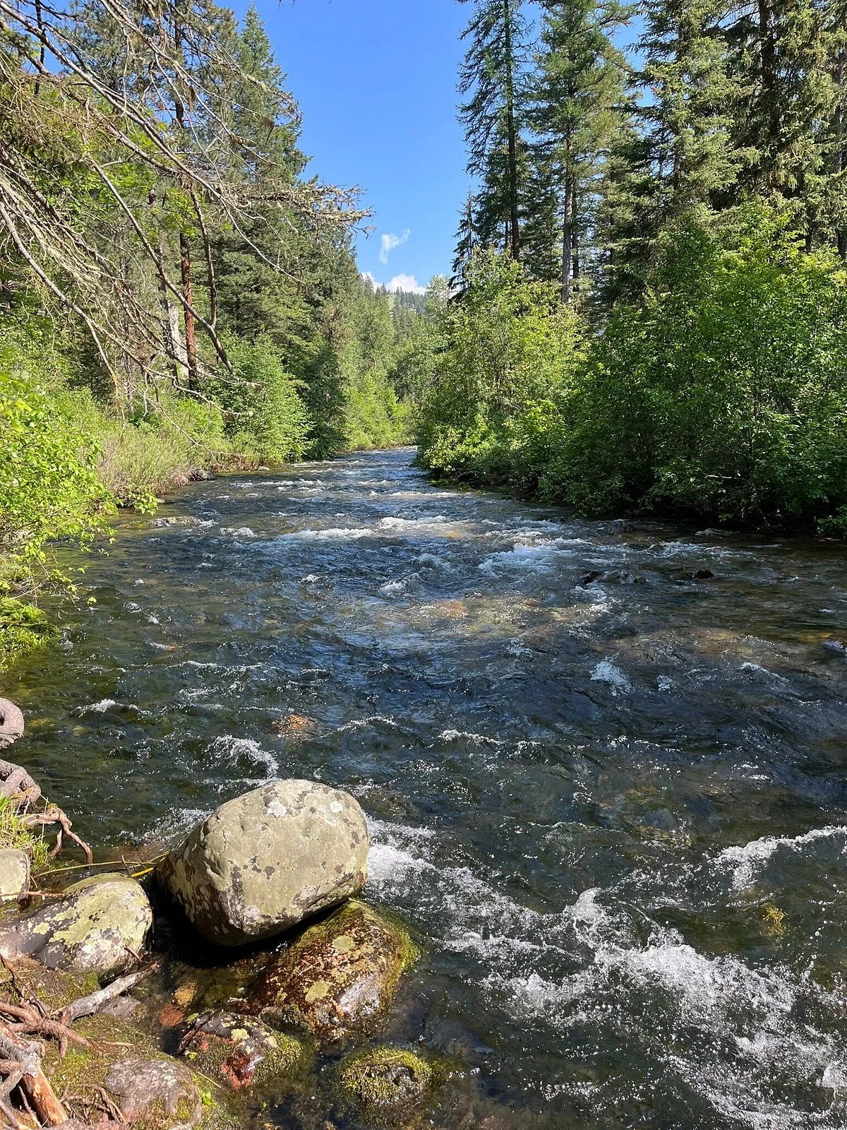 Rattlesnake National Recreation Area