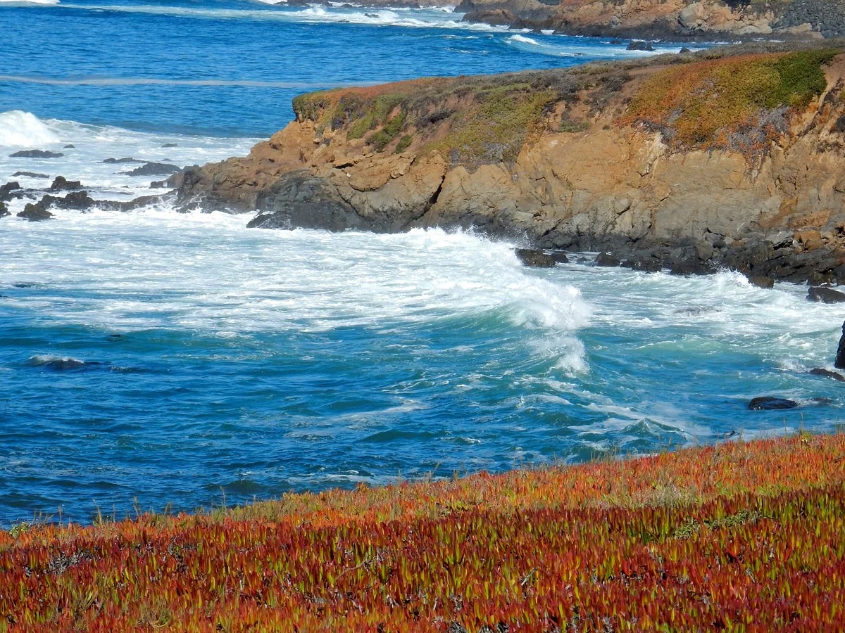 Fiscalini Ranch Preserve