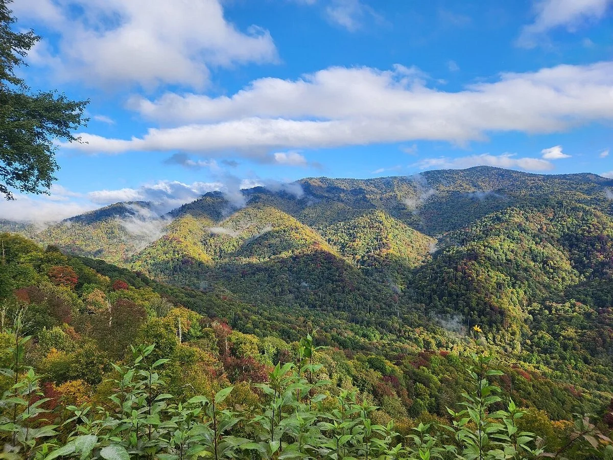 Newfound Gap Road