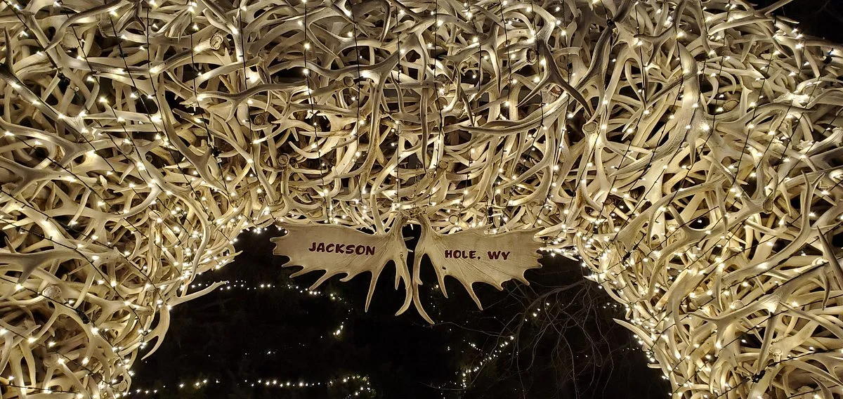 Antler Arches of Jackson