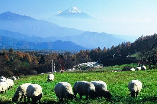 Makiba Park