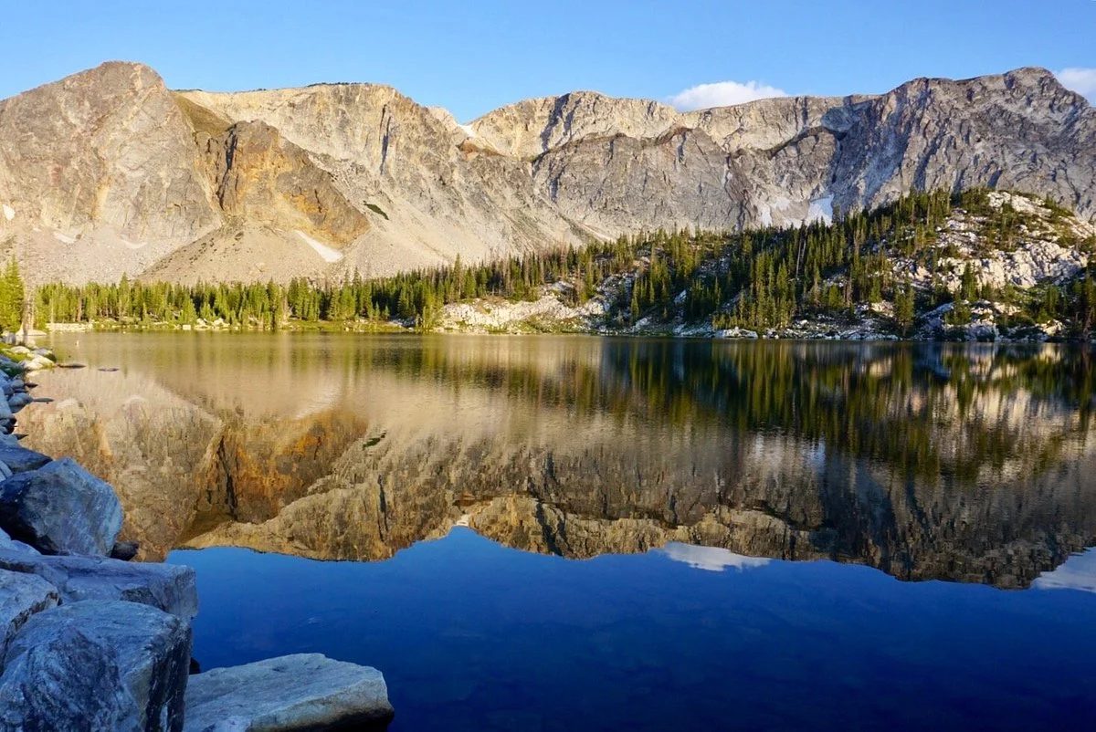 Medicine Bow National Forest