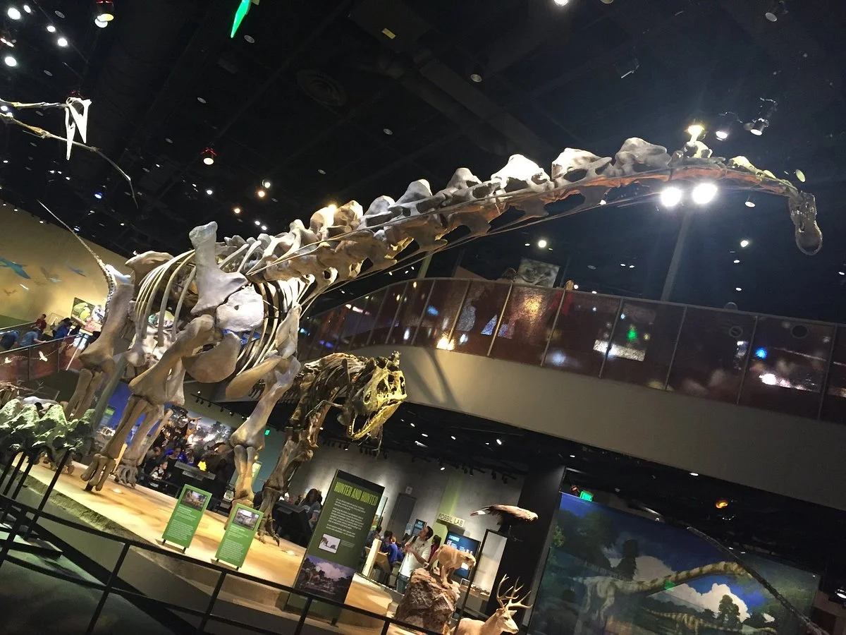 Perot Museum of Nature and Science