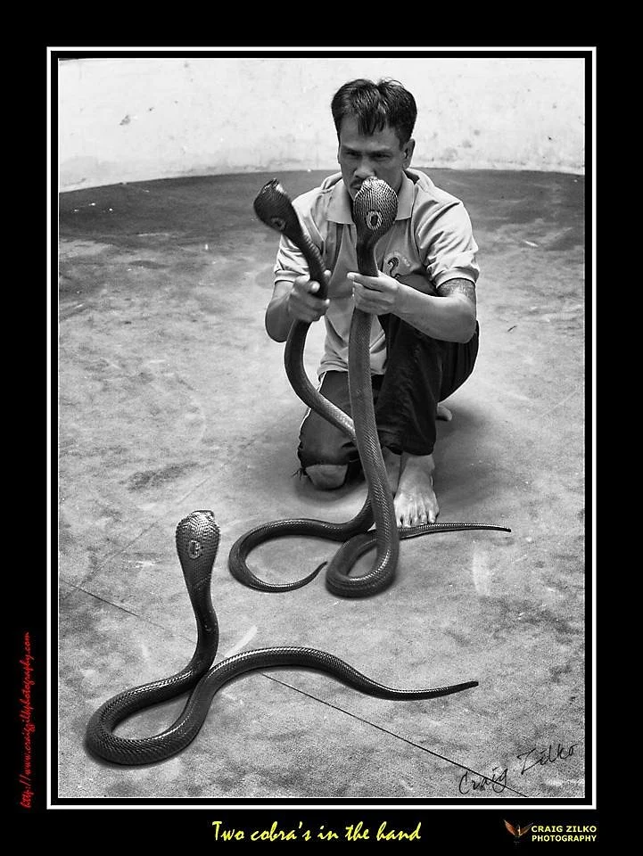 Phuket Cobra Show and Snake Farm