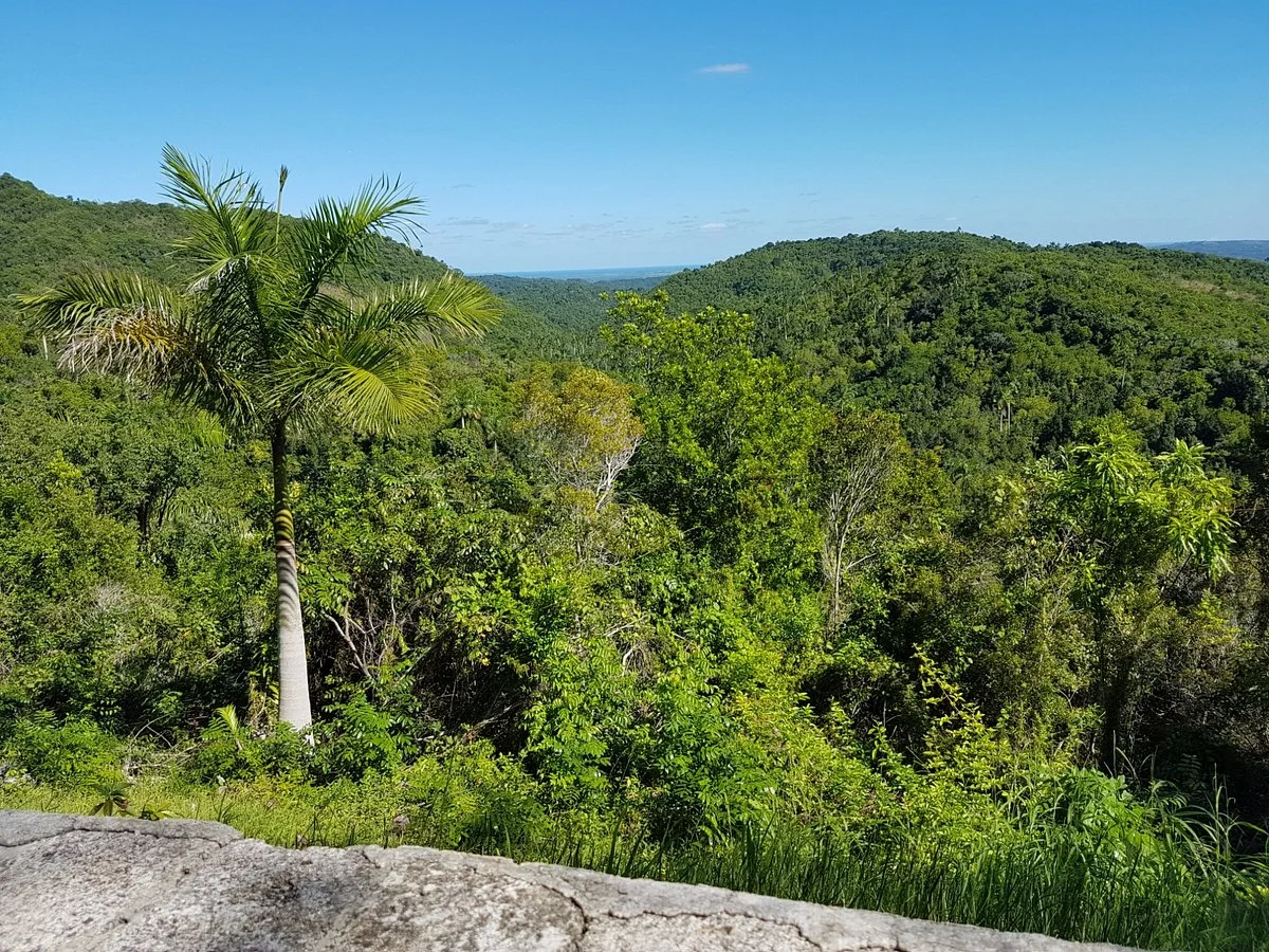 Sierra del Rosario Biosphere Reserve