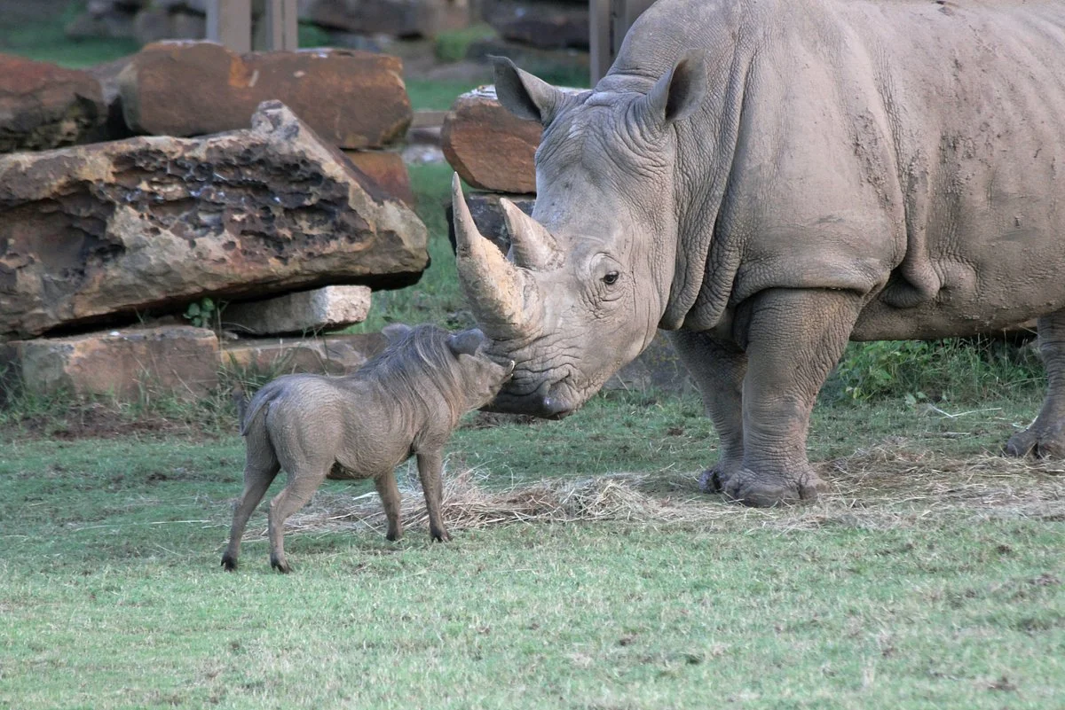 Tulsa Zoo