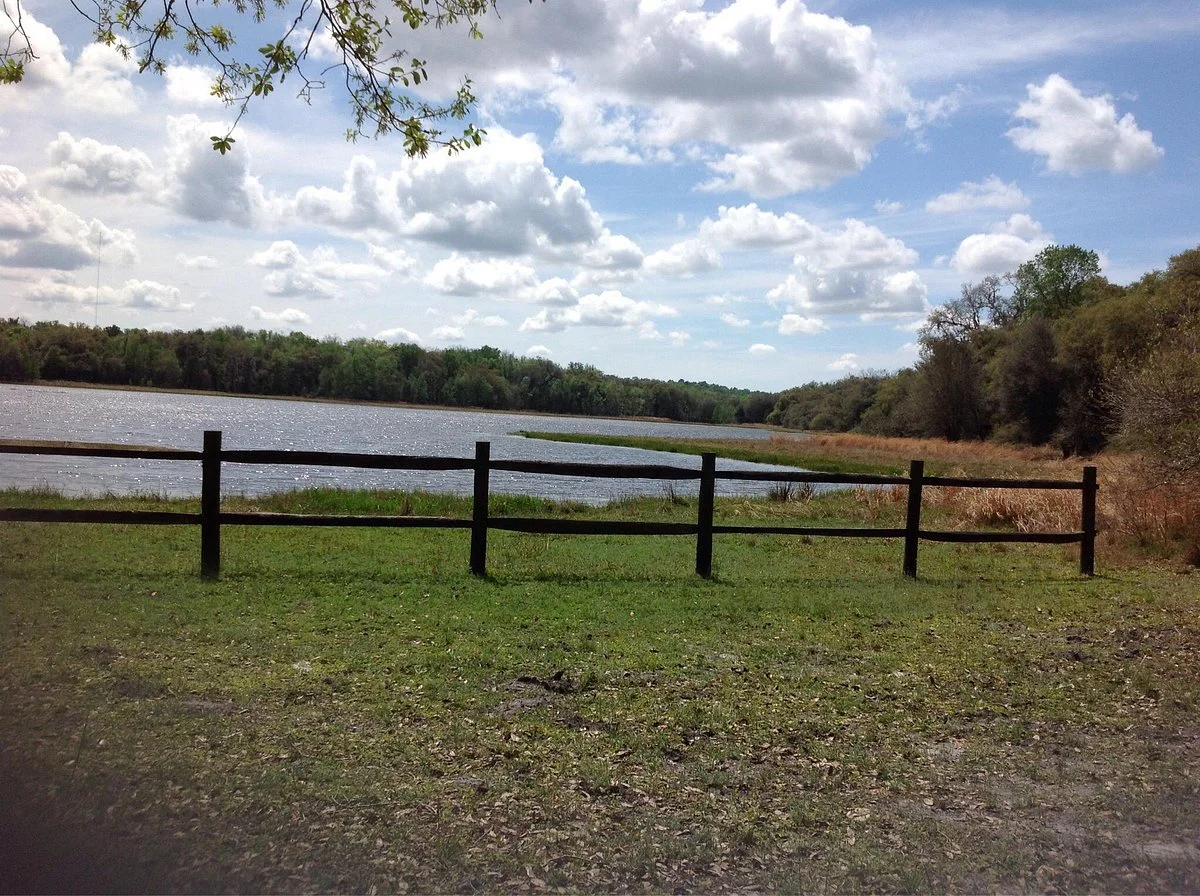 Withlacoochee State Forest