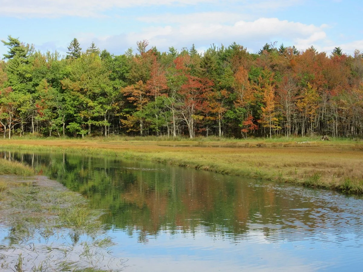 Rachel Carson National Wildlife Refuge