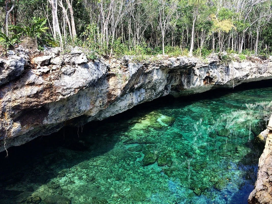 Cenotes Casa Tortuga Tulum