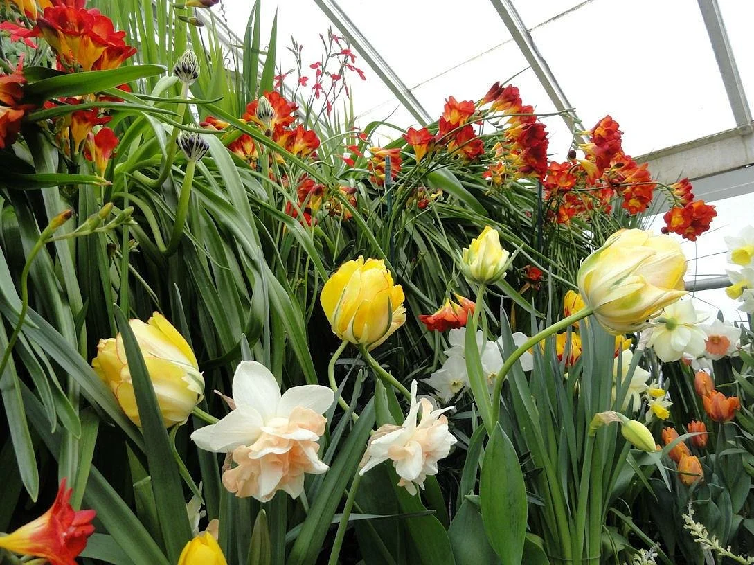 Smith College Botanic Garden