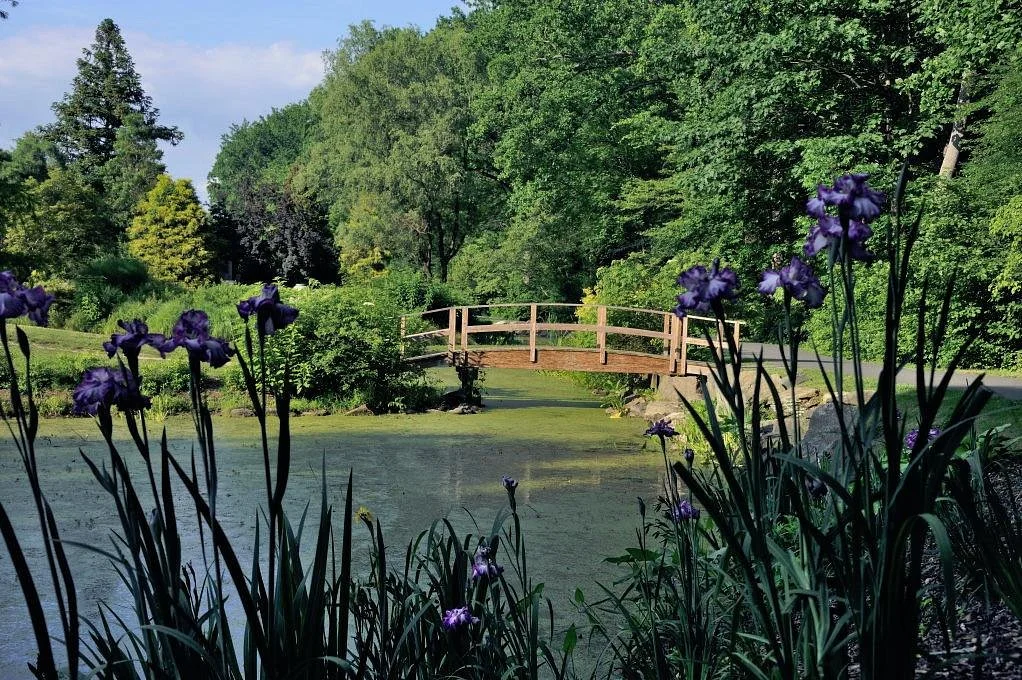 Wheaton Regional Park
