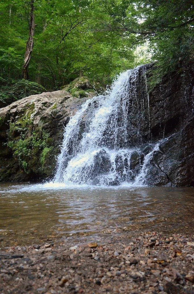 Patapsco Valley State Park